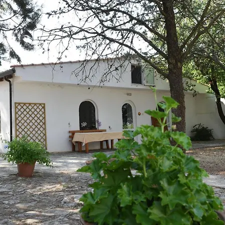 B&B Parco Del Lamione Gioia Del Colle Exterior photo