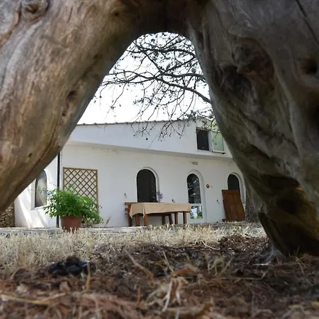 B&B Parco Del Lamione Gioia Del Colle Exterior photo