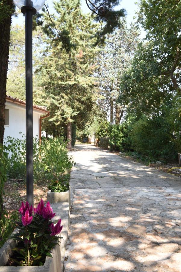 Parco Del Lamione Couette-café
