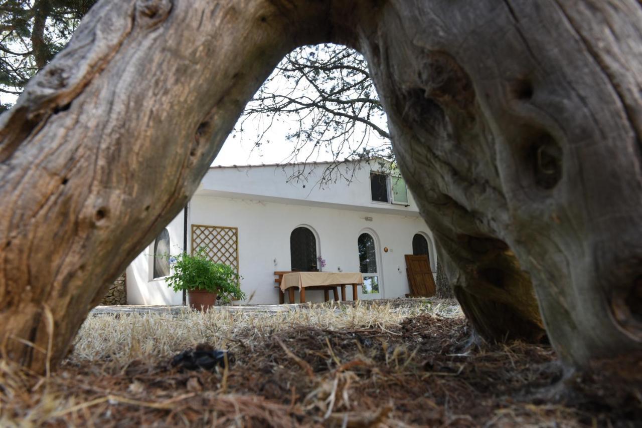 Parco Del Lamione *